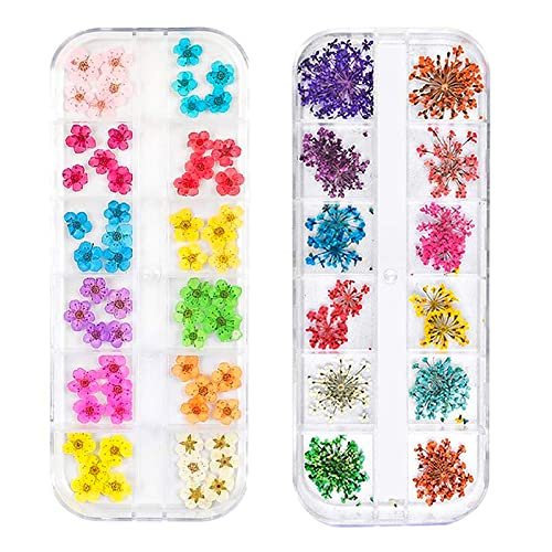 CHANGAR 3D Real Dried Flower Nail Art Stickers - 2 Box Set for Nail & Resin Craft DIY - görsel 2