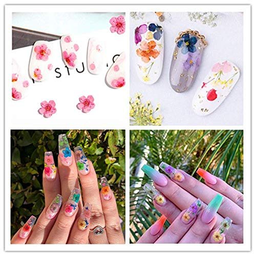 CHANGAR 3D Real Dried Flower Nail Art Stickers - 2 Box Set for Nail & Resin Craft DIY - görsel 13