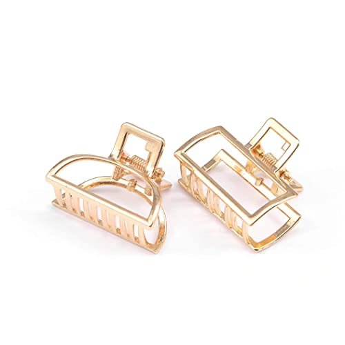 Brinie Gold Hair Claw Clips - Mini Non-Slip Acrylic Hair Clips for Women and Girls (2 Pack) - görsel 12