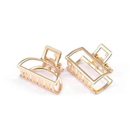 Brinie Gold Hair Claw Clips - Mini Non-Slip Acrylic Hair Clips for Women and Girls (2 Pack)