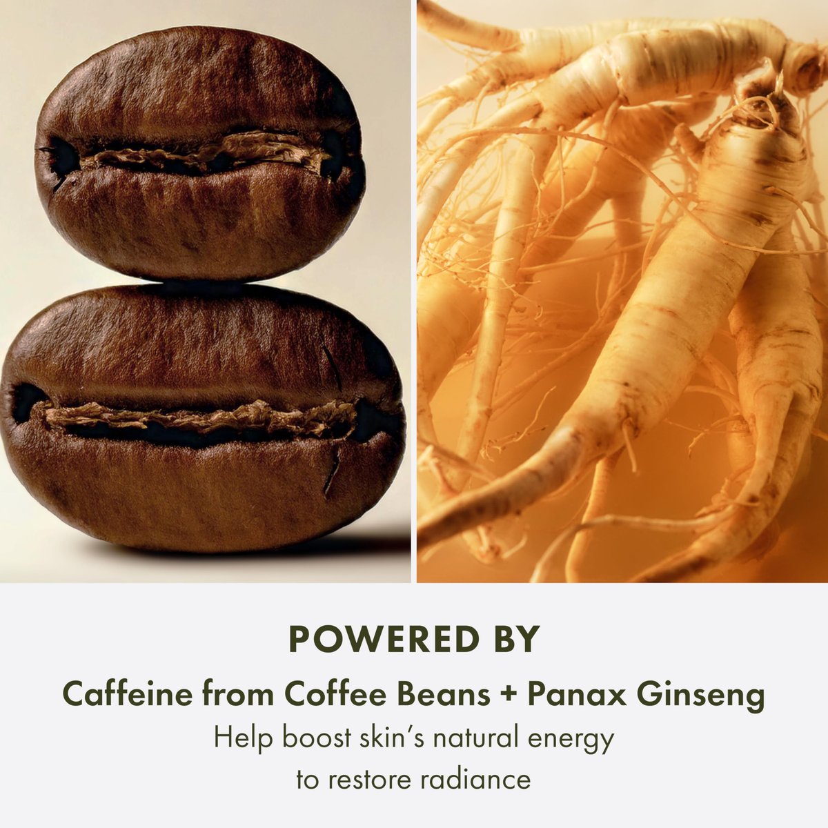 Origins GinZing Glow-Boosting Vitamin C Serum with Caffeine & Ginseng | Smoother Skin & Less Visible Pores, 1 Fl Oz Avelisse