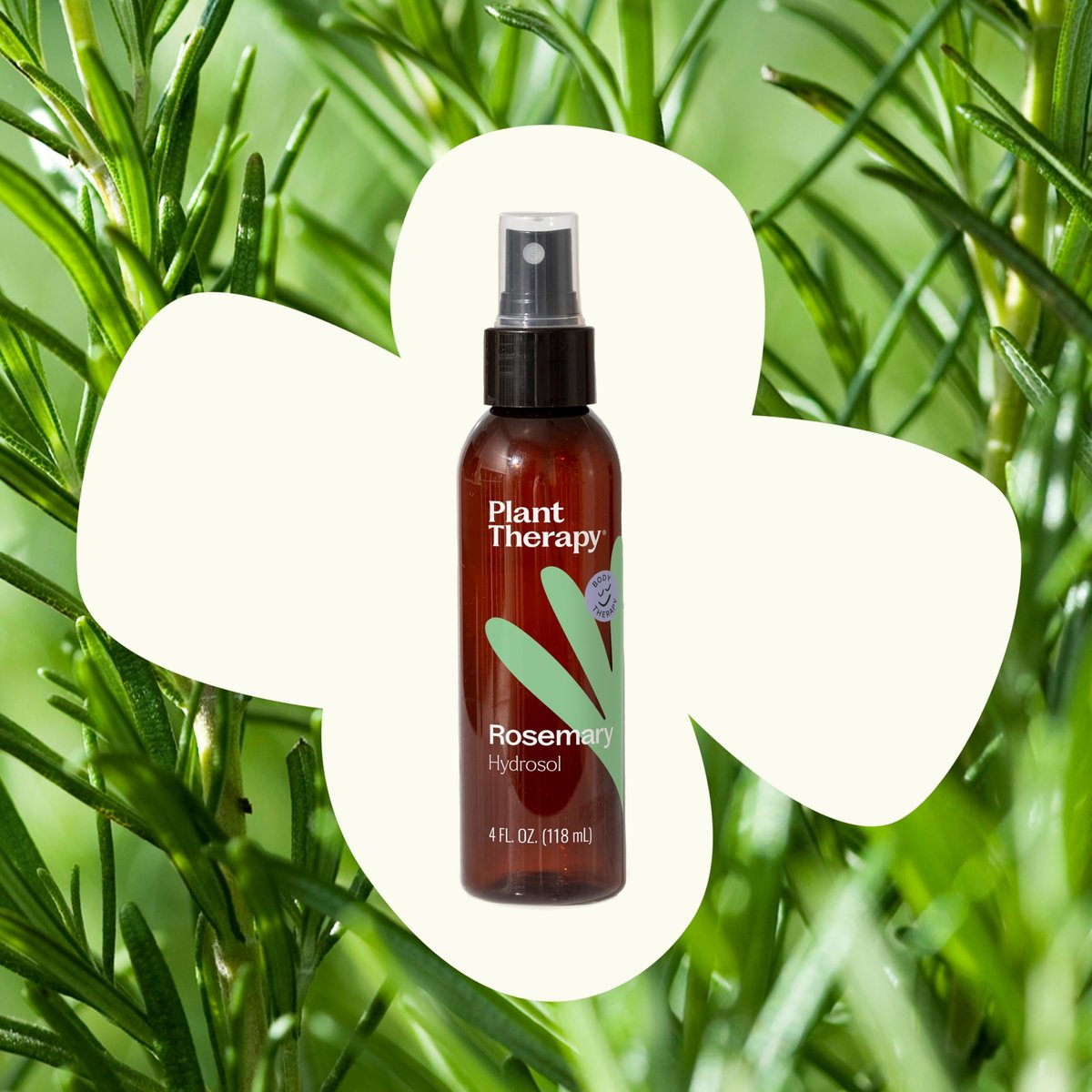 Plant Therapy Rosemary Hydrosol - 4 oz Gentle Facial Toner & Skin Refresher, Natural Floral Water for Soothing Hydration Avelisse