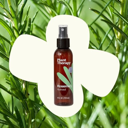 Plant Therapy Rosemary Hydrosol - 4 oz Gentle Facial Toner & Skin Refresher, Natural Floral Water for Soothing Hydration Avelisse