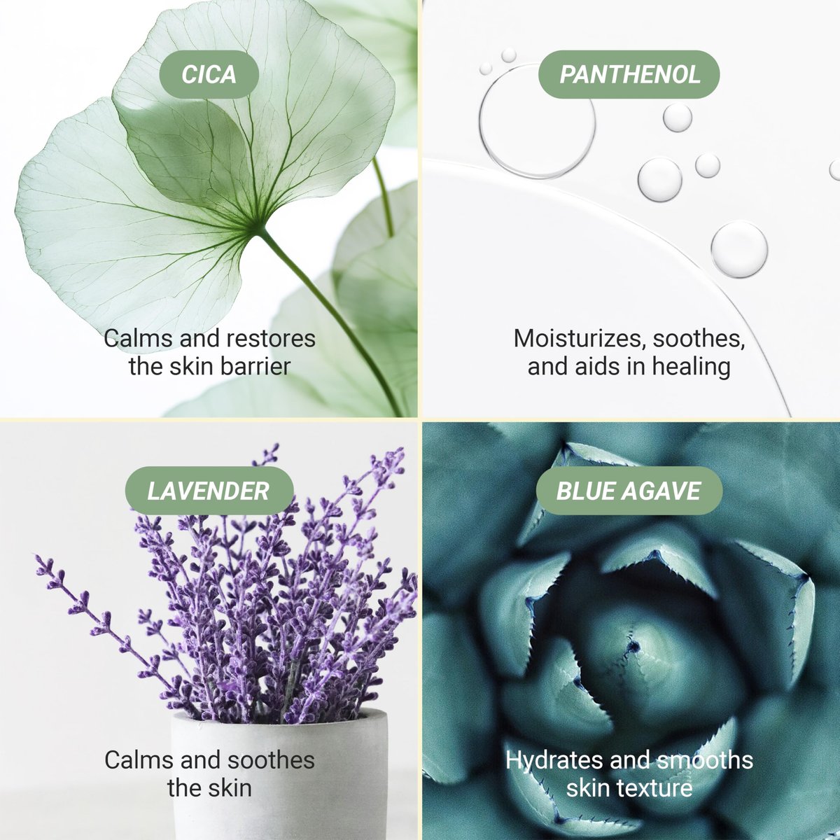 Meebak Cica Cleansing Water Pads - Korean Micellar Makeup Remover Wipes for Sensitive Skin, 80 Count - Hydrating & Calming Exfoliating Toner Pads for Glass Skin - görsel 12