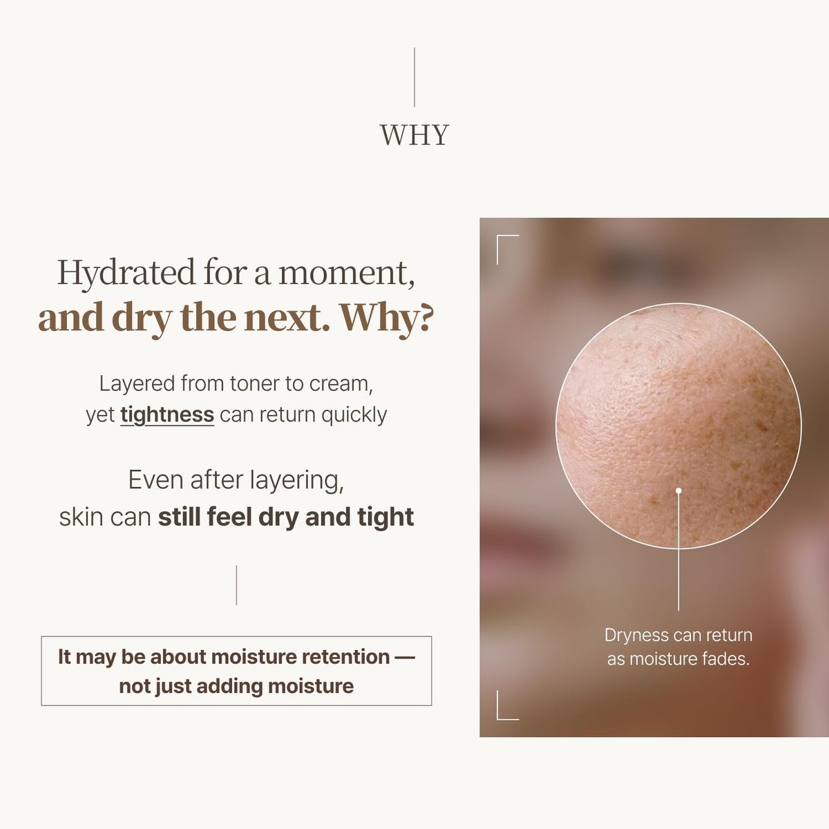 VEGREEN Vegan Nature Mucin Serum with 63% Wild Yam Phyto Mucin & Peptides - Korean Skincare for Barrier Repair & Intense Hydration - Non-Sticky, Cruelty-Free Soothing Face Serum, 1.69 fl oz Avelisse