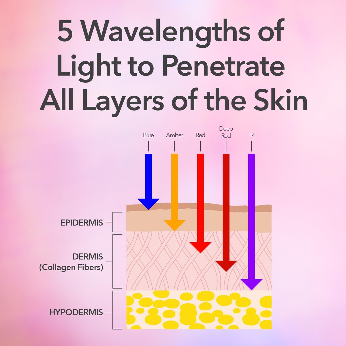 Dr. Dennis Gross DRx SpectraLite FaceWare Pro – LED Face Mask for Skin Rejuvenation with Dual Red & Blue Light Therapy, FSA HSA Eligible Avelisse