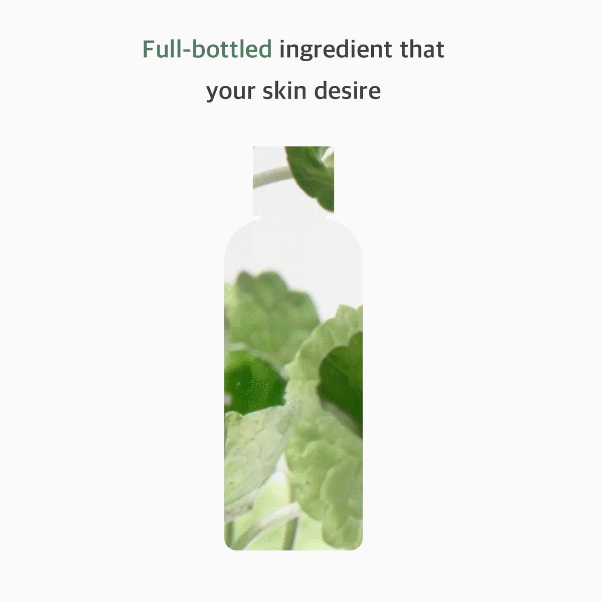 mixsoon Centella Asiatica Toner – Soothing & Hydrating Facial Toner with CICA Extract, Gentle Formula for Sensitive & Balanced Skin, 300ml / 10.14 fl.oz. - görsel 3