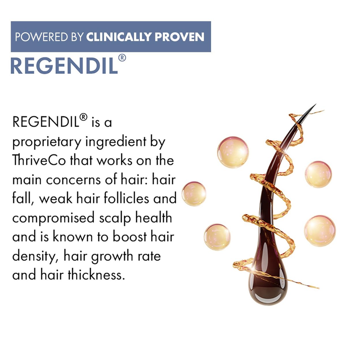 Anveya Rosemary Hair Growth Serum – Redensyl, Procapil, Anagain & Capilia Longa – Hair Serum for Men & Women – 1.69 Fl Oz - görsel 11