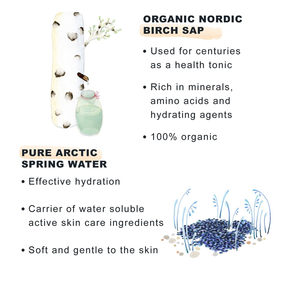 Lumene Nordic Hydra Moisturizing Prebiotic Oil-Cocktail - Nurturing Bi-Phase Face Oil for Dehydrated Skin & Skin Barrier Repair, Essential Nordic Mix & Hydrating Oil for Dry Skin, 30ml - görsel 11