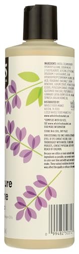365 by Whole Foods Market Moisture & Shine Shampoo with Hemp Seed & Argan Oil, Lavender Scent, 16 Fl Oz