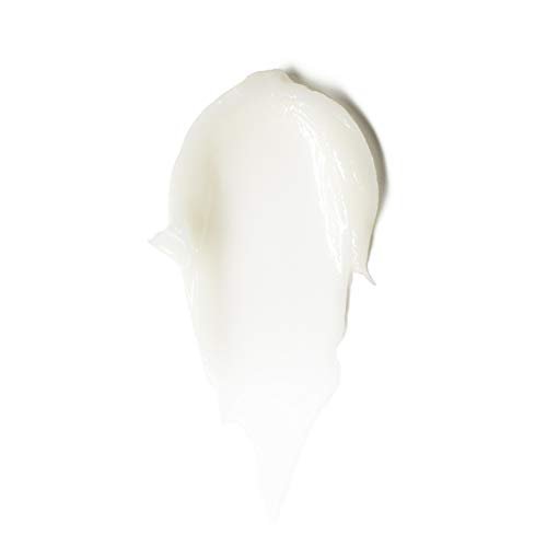 ILIA Lip Wrap Overnight Treatment Mask - Exfoliate, Hydrate, Smooth, Soften, Plump - Non-Toxic, Vegan, Cruelty-Free - 0.34 fl oz Avelisse