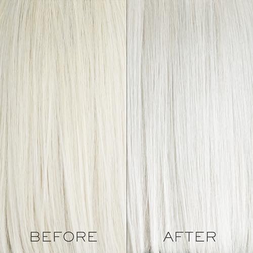 Kristin Ess The One Signature Hair Gloss - Platinum: Icy Translucent Ash | 4 Fl Oz Avelisse