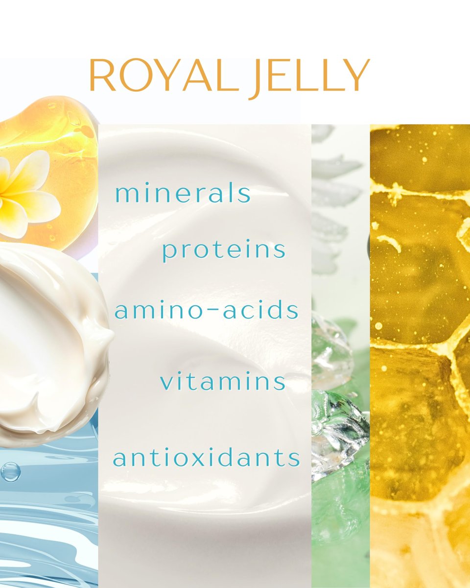 Fleur De Lis Naturals Face Cream Anti Aging Royal Jelly - Natural & Organic Face Moisturizer for Dry Skin, Anti Wrinkle Cream for Women & Men – 1.7 oz Avelisse