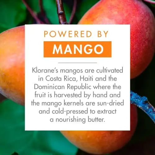 Klorane Nourishing Dry Hair Oil with Mango – Hydrating & Protecting Bi-Phase Spray for Dry Hair, Vegan & Paraben-Free Avelisse