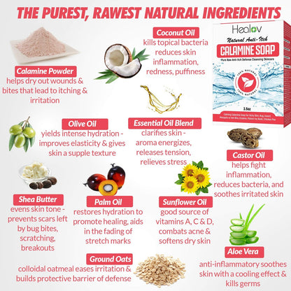Healov Calamine Soap Bar – All Natural Instant Itch Relief for Eczema, Poison Ivy, Insect Bites & Chicken Pox – Pure Anti-Itch Body Wash Cleanser (4 oz)