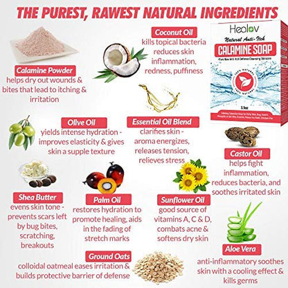 Healov Calamine Soap Bar – All Natural Instant Itch Relief for Eczema, Poison Ivy, Insect Bites & Chicken Pox – Pure Anti-Itch Body Wash Cleanser (4 oz)