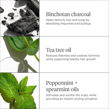 Briogeo Scalp Revival Charcoal + Tea Tree Cooling Hydration Scalp Mask - Weekly Detoxifying & Moisturizing Scalp Treatment for Dry, Flaky, or Itchy Scalp - Vegan & Cruelty Free - 6 oz Avelisse