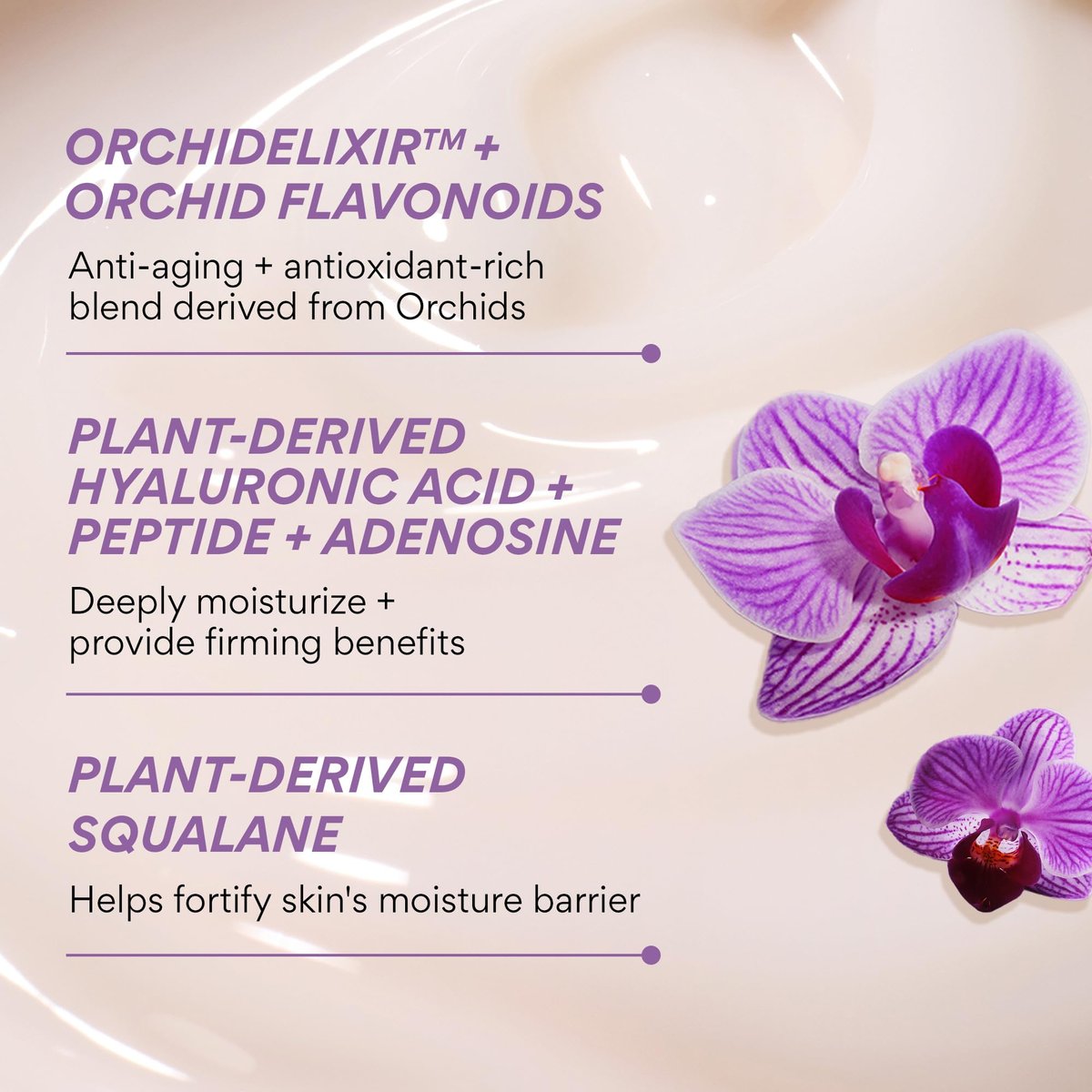 Innisfree Orchid Youth-Enriched Cream – Firming & Hydrating Face Moisturizer for Youthful Skin Avelisse