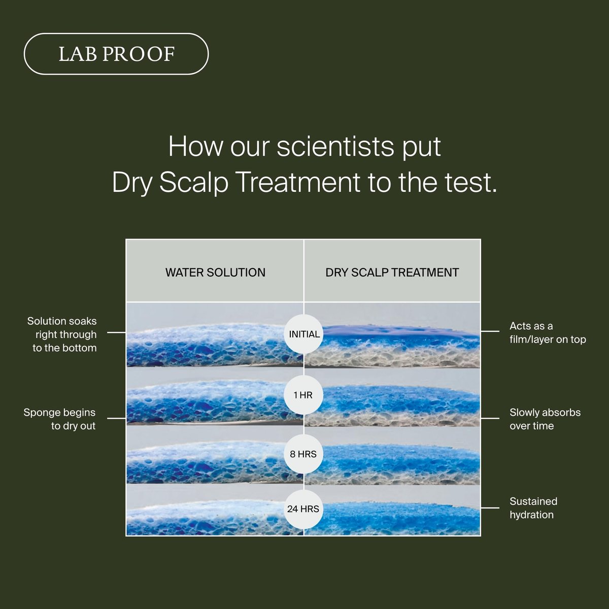 Living Proof Scalp Care Dry Scalp Treatment – Soothes Flaking, Itching, Hydrates, Balances Scalp Microbiome, Lightweight Fast-Absorbing Formula, 3.4 oz Avelisse