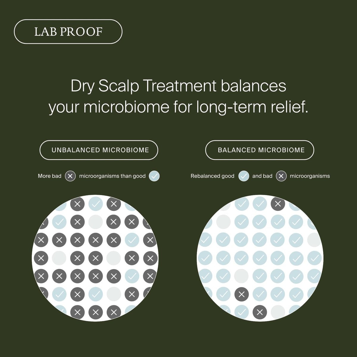Living Proof Scalp Care Dry Scalp Treatment – Soothes Flaking, Itching, Hydrates, Balances Scalp Microbiome, Lightweight Fast-Absorbing Formula, 3.4 oz Avelisse