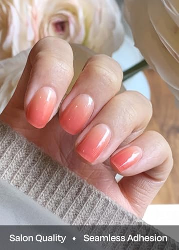 Ohora Semi Cured Gel Nail Strips - N Basic Nails No.1 Red Ombre, Long Lasting Salon Quality Nail Art, Easy Apply & Remove with UV/LED Lamp Avelisse