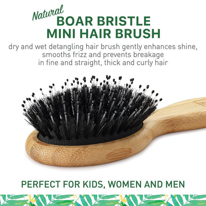 Mini Natural Boar Bristle Hair Brush – Portable Detangling Brush for Women, Men & Kids, Enhances Shine for All Hair Types