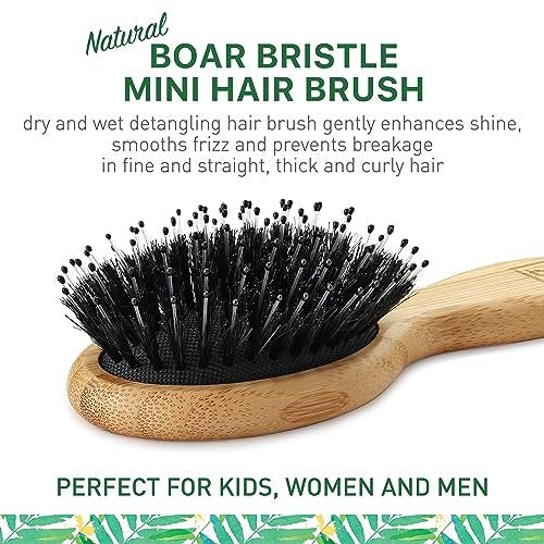 Mini Natural Boar Bristle Hair Brush – Portable Detangling Brush for Women, Men & Kids, Enhances Shine for All Hair Types - görsel 4