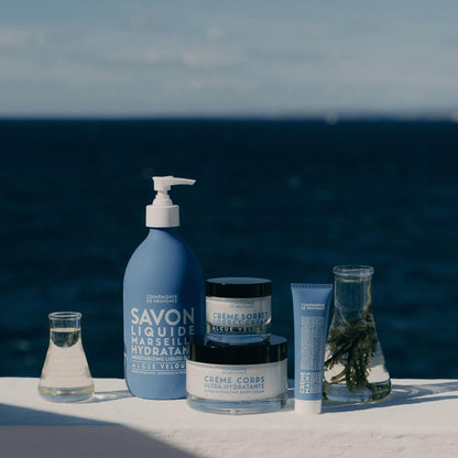 La Compagnie de Provence Savon de Marseille Extra Pure Liquid Soap - Velvet Seaweed - 16.7 Fl Oz Glass Pump Bottle