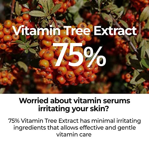 numbuzin No.5 Goodbye Blemish Serum – Lightweight Gel for Acne Scars with Vitamin C & Niacinamide | Korean Skincare 1.69 fl oz Avelisse