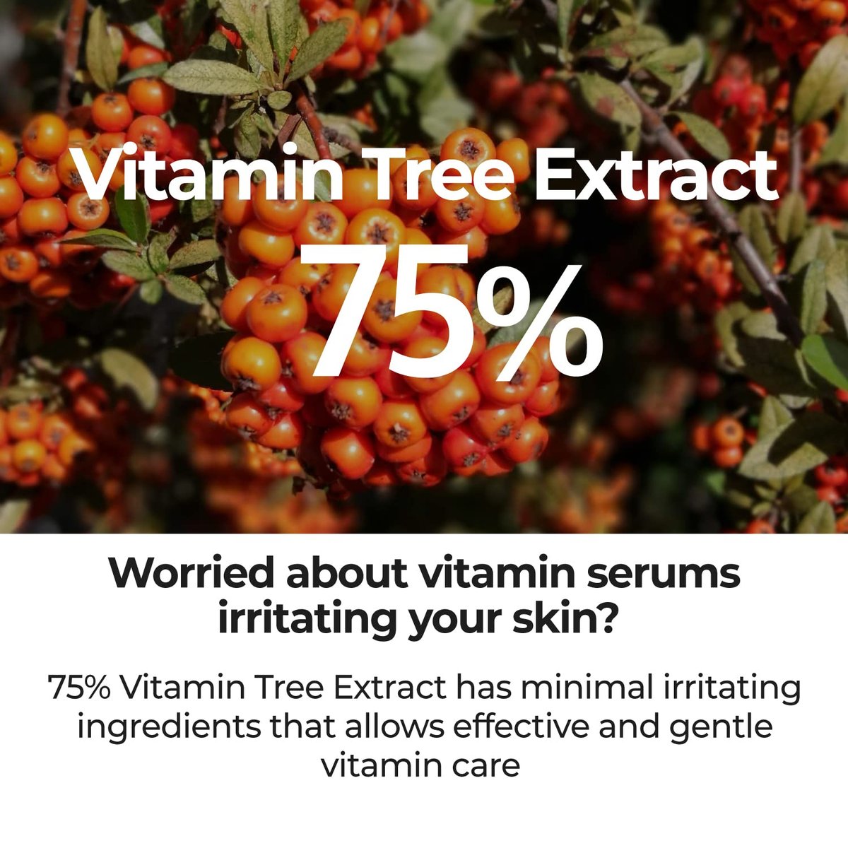 numbuzin No.5 Goodbye Blemish Serum – Lightweight Gel for Acne Scars with Vitamin C & Niacinamide | Korean Skincare 1.69 fl oz Avelisse