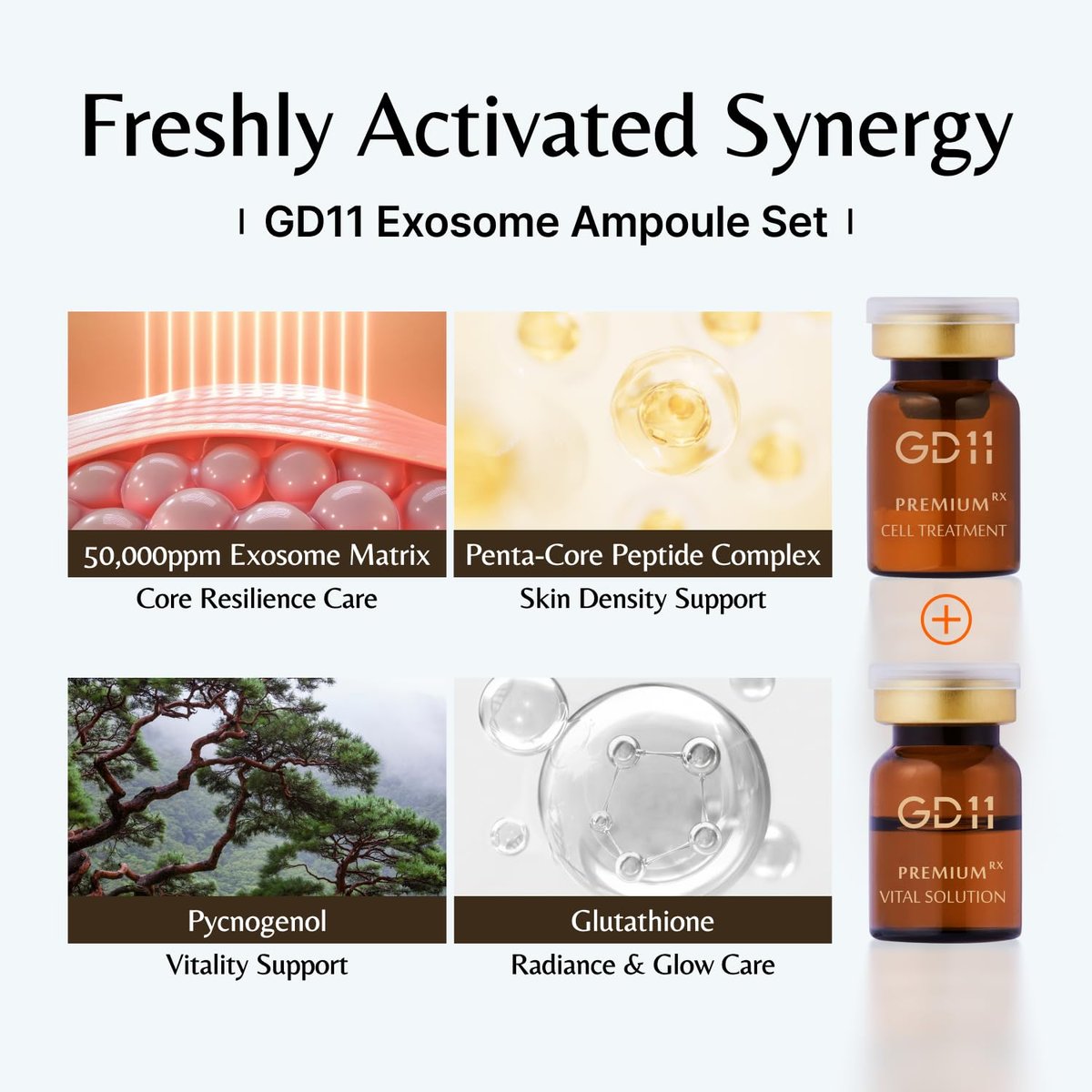 GD11 Exosome Ampoule Set - 3 Pairs Freeze-Dried Powder & Moisture Activator for Firm, Even Skin & K-Beauty Glass-Skin Glow Avelisse