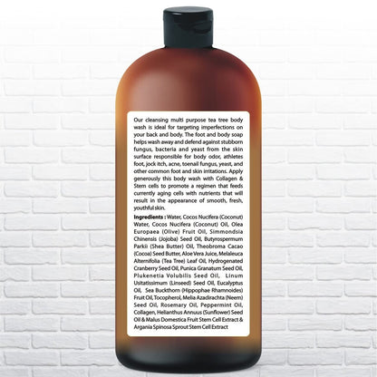 Tea Tree Body Wash with Organic Tea Tree Oil - Fights Odor, Acne & Skin Issues, 16.9 oz by Being Naturals Avelisse