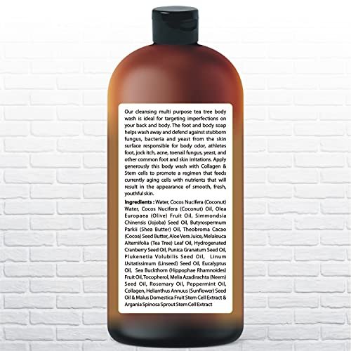 Tea Tree Body Wash with Organic Tea Tree Oil - Fights Odor, Acne & Skin Issues, 16.9 oz by Being Naturals Avelisse