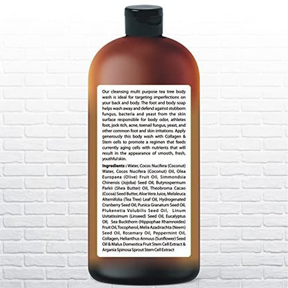 Tea Tree Body Wash with Organic Tea Tree Oil - Fights Odor, Acne & Skin Issues, 16.9 oz by Being Naturals Avelisse