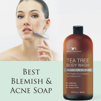 Tea Tree Body Wash with Organic Tea Tree Oil - Fights Odor, Acne & Skin Issues, 16.9 oz by Being Naturals Avelisse