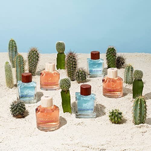 Hollister Canyon Escape Men EDT Spray 3.4 oz Avelisse