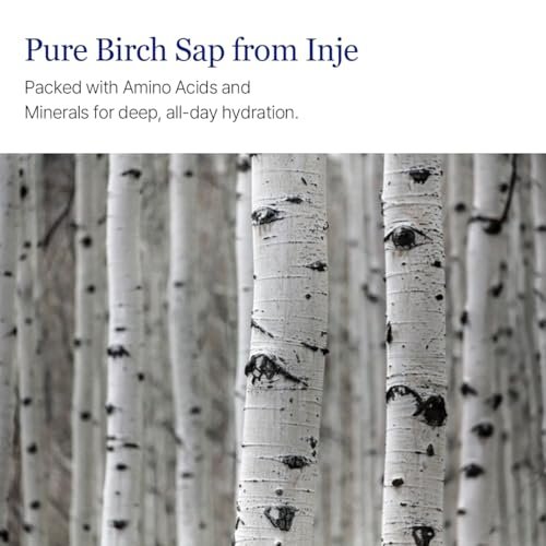 ROUND LAB Birch Juice Moisturizing Toner 300ml - Vita Hyaluronic Acid, Alcohol-Free, Fragrance-Free Hydrating Toner Avelisse