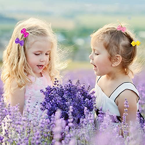 WILLBOND 100-Piece Girls Hair Barrettes – Self-Hinge Plastic Clips for Toddlers, Kids, Baby – Colorful Cute Cartoon Hair Pin Accessories (Bow) - görsel 8