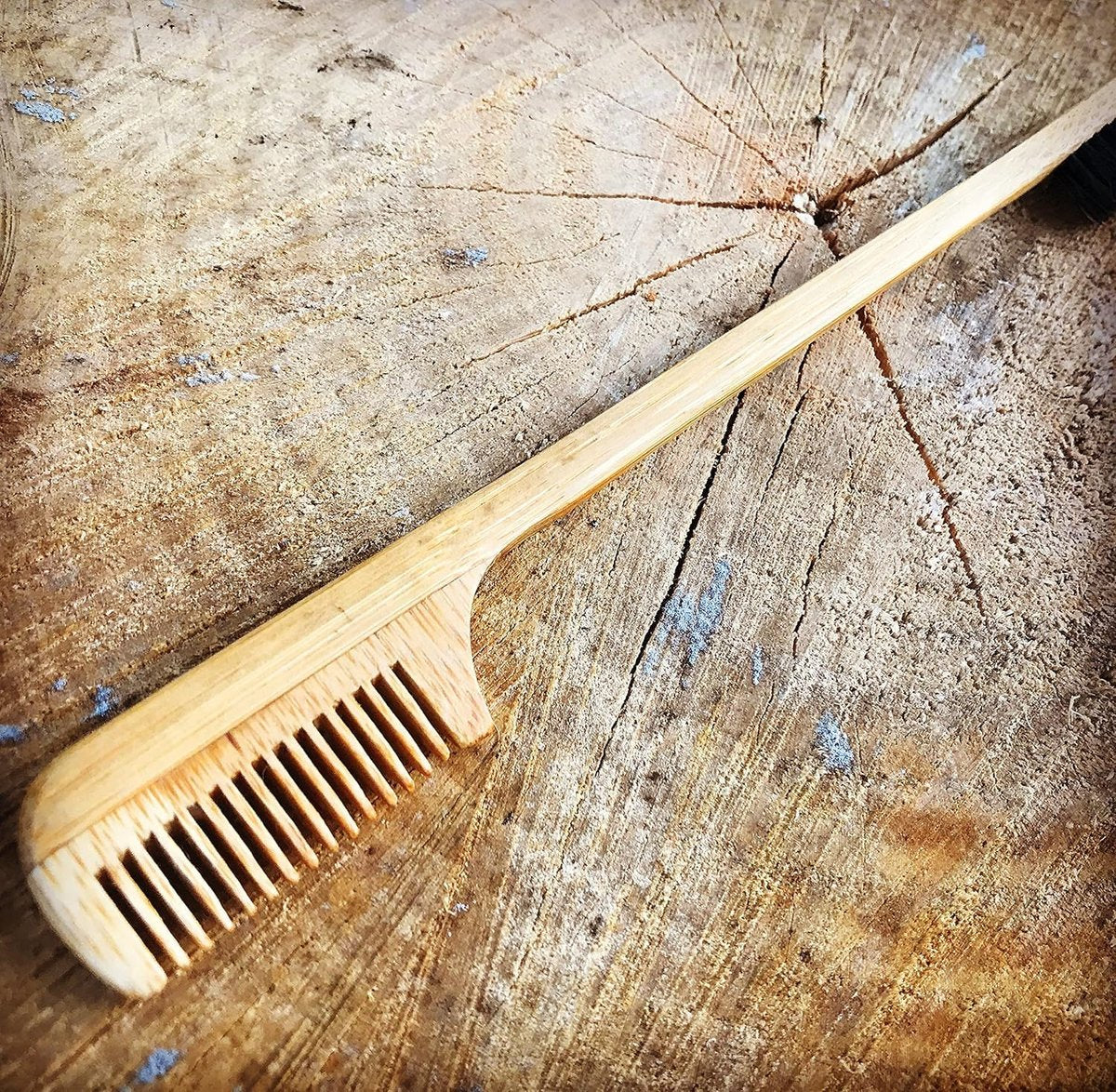 2-in-1 Sapling Mustache Brush & Comb (2-Pack) – Boar Bristle & Bamboo by Green Beard Grmng Avelisse