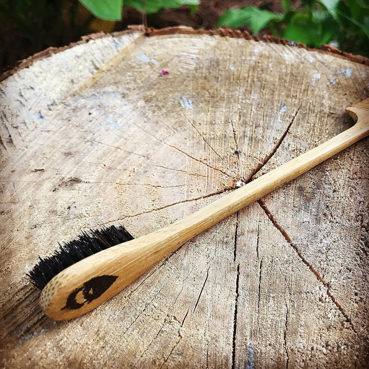 2-in-1 Sapling Mustache Brush & Comb (2-Pack) – Boar Bristle & Bamboo by Green Beard Grmng Avelisse
