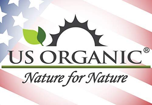 US Organic 100% Pure Myrrh & Frankincense Essential Oil Combo Pack - USDA Certified Organic, Direct from Horn of Africa, 5 ml Each Avelisse