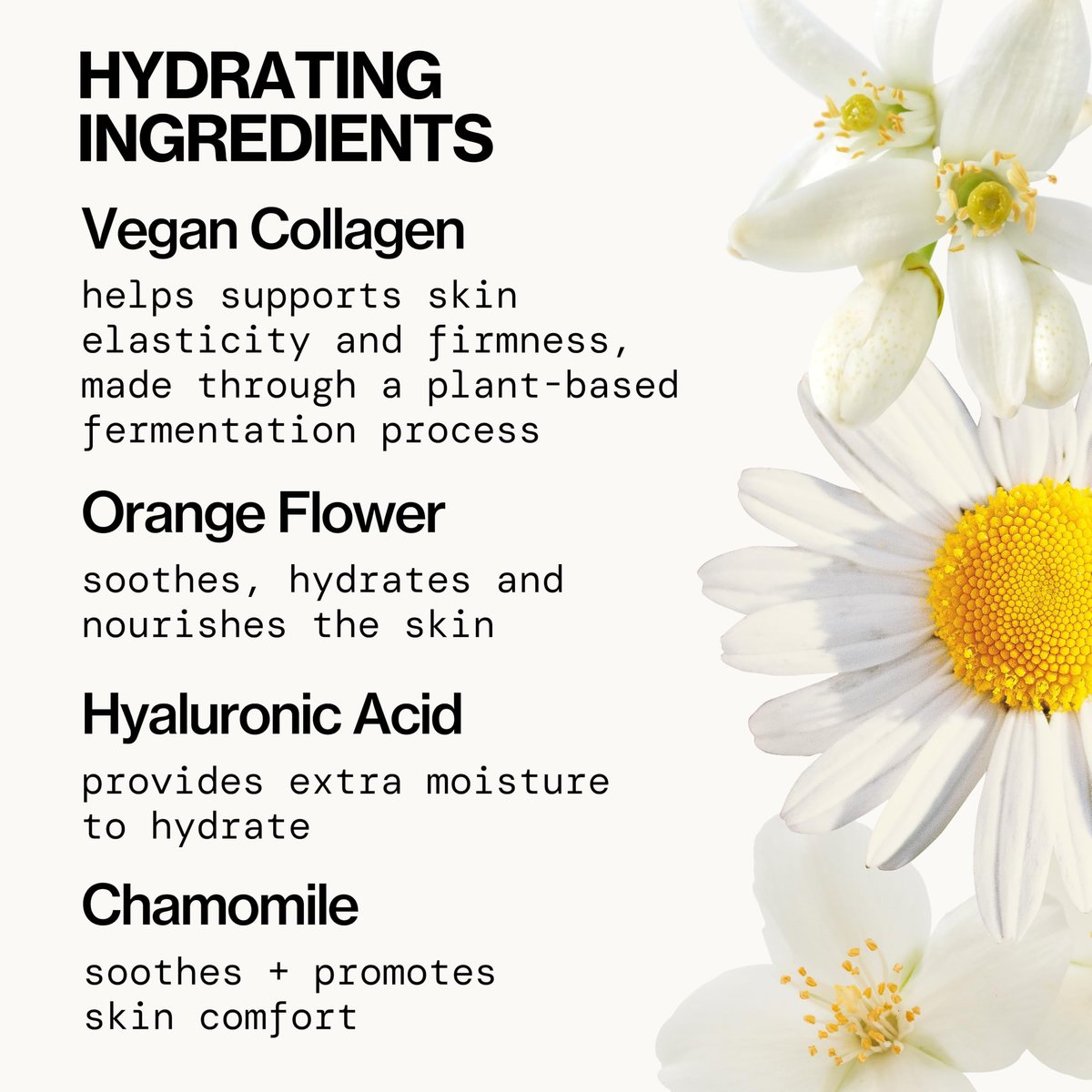 Pacifica Vegan Collagen Hydrating Milk Tonic – Alcohol-Free Milky Toner & Essence with Hyaluronic Acid, Chamomile & Jasmine for All Skin Types, Vegan & Dermatologist Tested (4.7 oz) Avelisse
