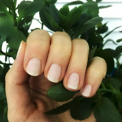 Dazzle Dry Mini Kit 4 Step System - Rose Quartz: Light Peach Blossom with Pink Blush, Semisheer Cream (5 Piece Kit / 5 Manicures) Avelisse