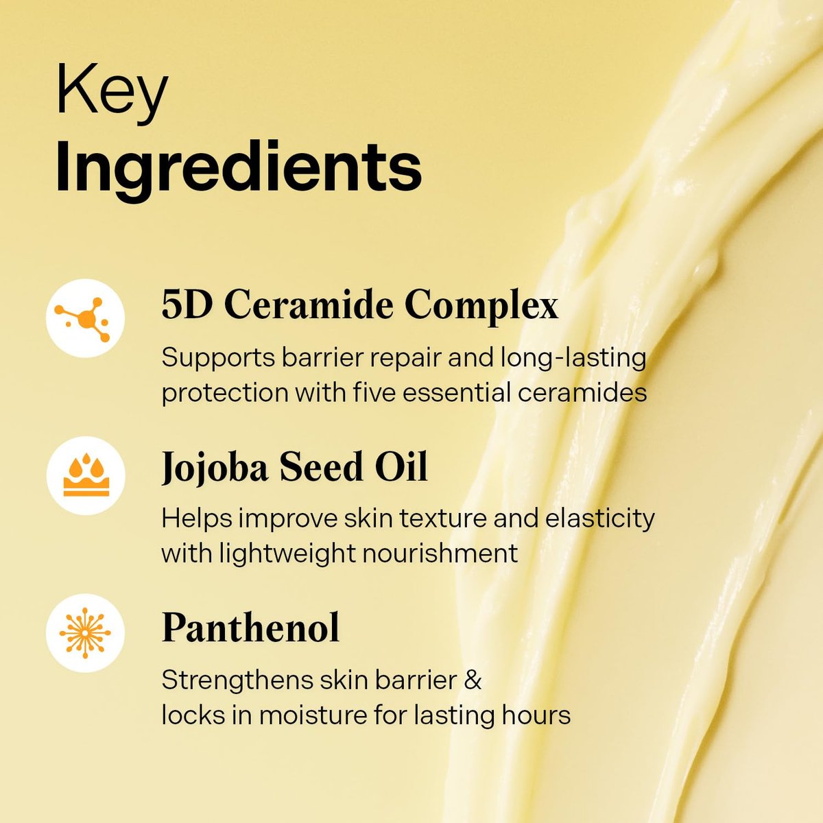 Torriden SOLID IN Ceramide Cream 70ml – Ceramide Moisturizer for Healthy Skin Barrier, Soothing & Nourishing Avelisse
