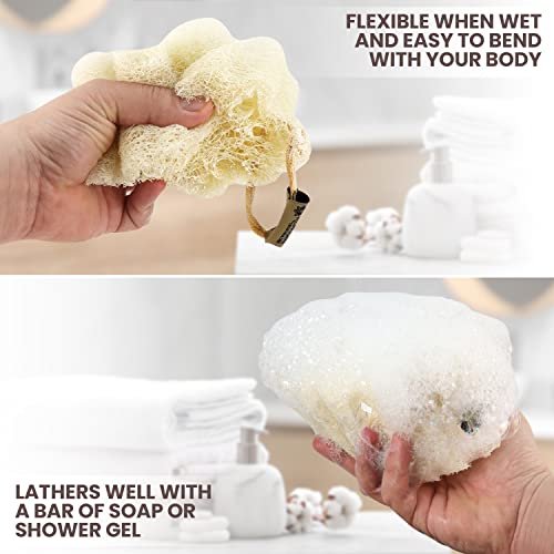 ALMOONI Mini Natural Loofah Sponge - Real Egyptian Exfoliating Loofah - Small Shower Scrubber for Perfect Grip - 3 Count - görsel 6
