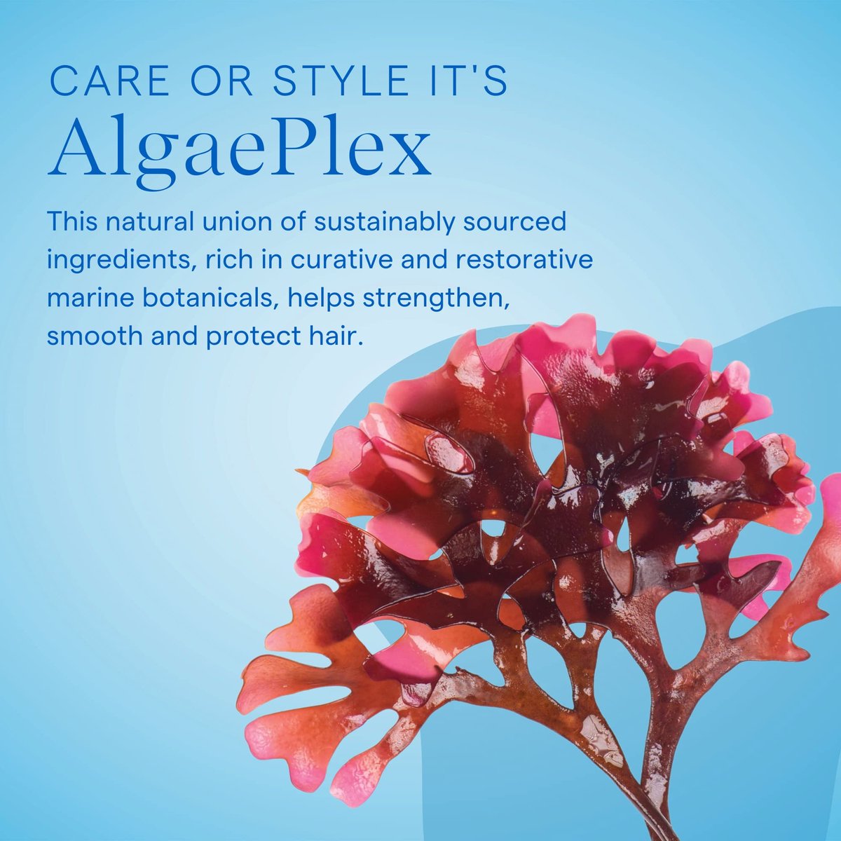 Aquage Styling Mousse 2 Fl Oz - Volumizing & Hold for All Hair Types Avelisse