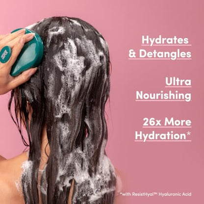 Coco & Eve Like a Virgin Shampoo & Conditioner Bundle - Natural Sulfate-Free Hair Care with Argan, Coconut & Avocado Oil for Dry, Damaged, Color Treated Hair - Anti-Frizz (8.4 fl oz each) Avelisse