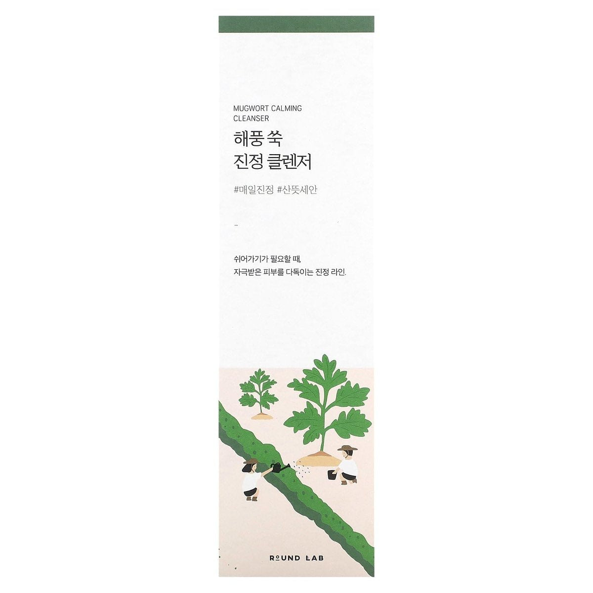 ROUND LAB Mugwort Calming Cleanser – Low pH Cream Cleanser with 4-CICA for Soothing and Moisturizing (5.07 fl oz) Avelisse
