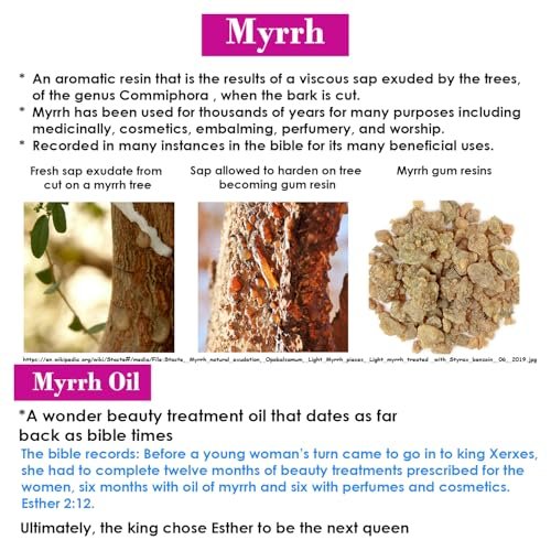 Queen Esther Myrrh Beauty Face Oil - Bulgarian Rose, Argan, Rosehip, Seabuckthorn, Pomegranate Seed - 1 Fl Oz - görsel 4