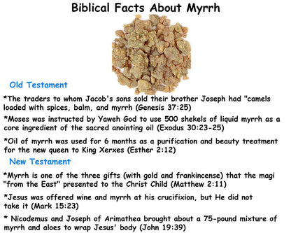 Queen Esther Myrrh Beauty Face Oil - Bulgarian Rose, Argan, Rosehip, Seabuckthorn, Pomegranate Seed - 1 Fl Oz